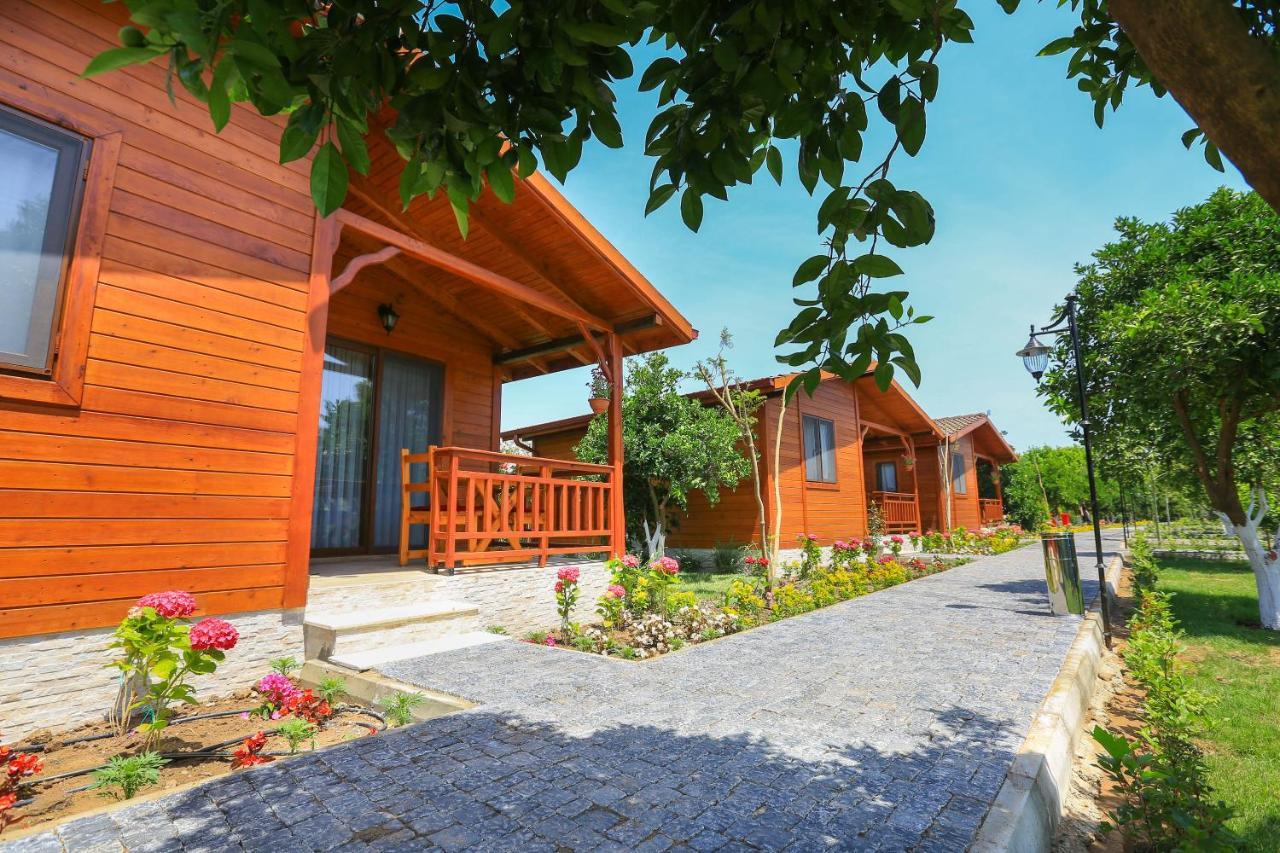 Merry Bungalow&Tent Çıralı Exterior foto